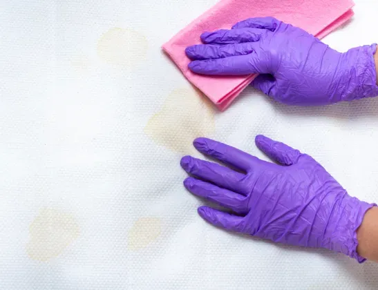 purple-gloved-hands-dabbing-mattress-stains